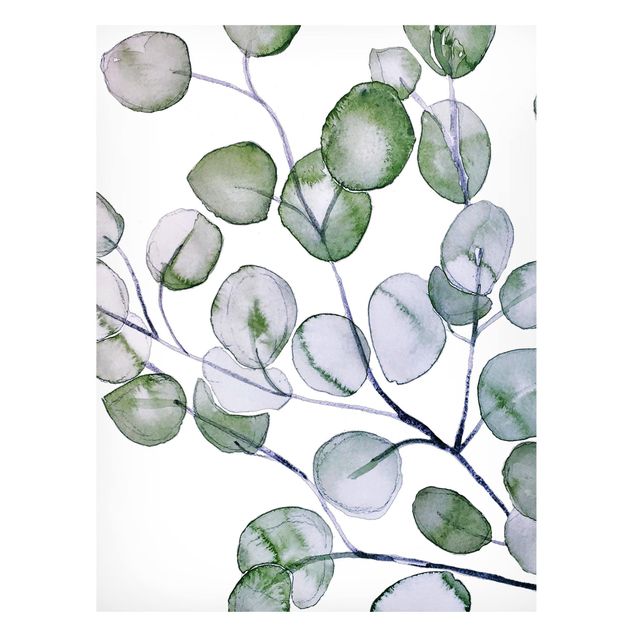 Magnettavler blomster Green Watercolour Eucalyptus Branch
