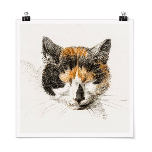 Plakater dyr Vintage Drawing Cat IV