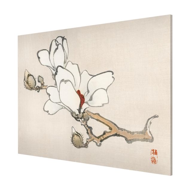 Billeder blomster Asian Vintage Drawing White Magnolia