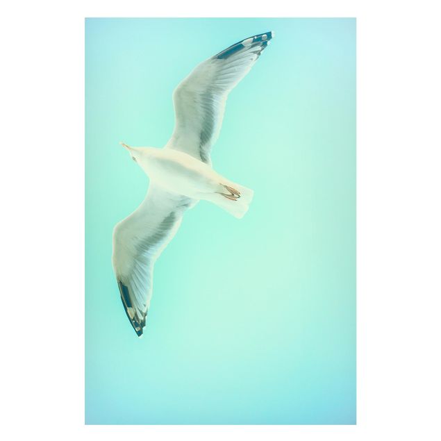 Magnettavler dyr Blue Sky With Seagull