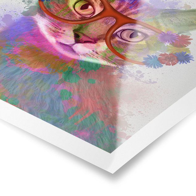 Billeder Rainbow Splash Cat