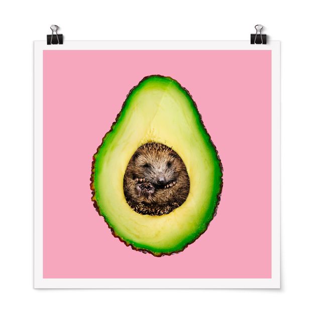 Plakater kunsttryk Avocado With Hedgehog