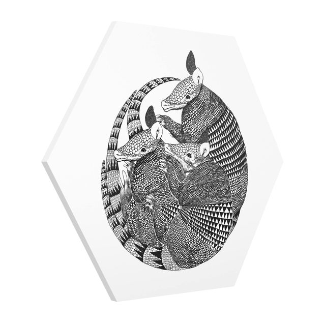 Billeder dyr Illustration Armadillos Black And White Pattern