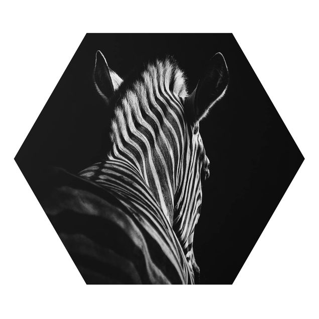 Billeder sort og hvid Dark Zebra Silhouette