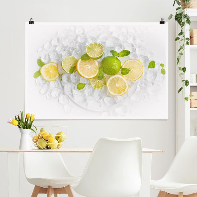 køkken dekorationer Citrus Fruit On Ice Cubes