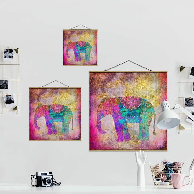 Billeder farvet Colourful Collage - Indian Elephant