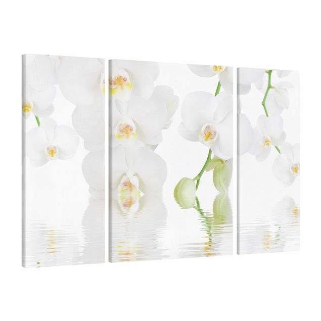Billeder på lærred blomster Spa Orchid - White Orchid