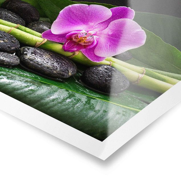 Plakater kunsttryk Green Bamboo With Orchid Flower
