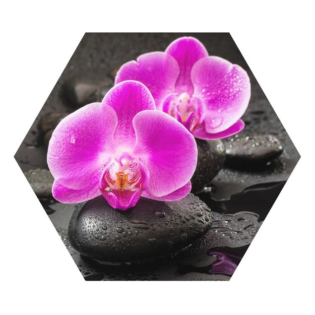 Billeder kunsttryk Pink Orchid Flowers On Stones With Drops