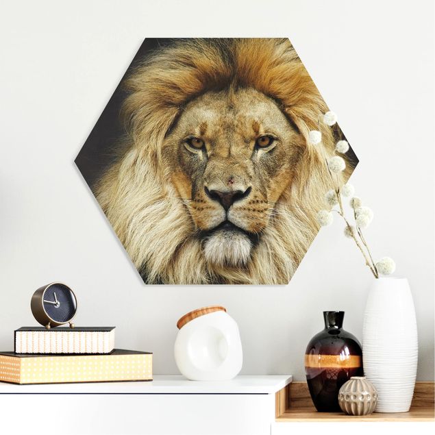 køkken dekorationer Wisdom Of Lion