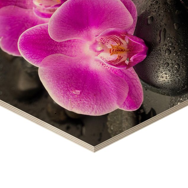 Sekskantede billeder Pink Orchid Flowers On Stones With Drops