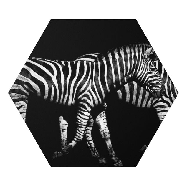 Forex Zebra In The Dark