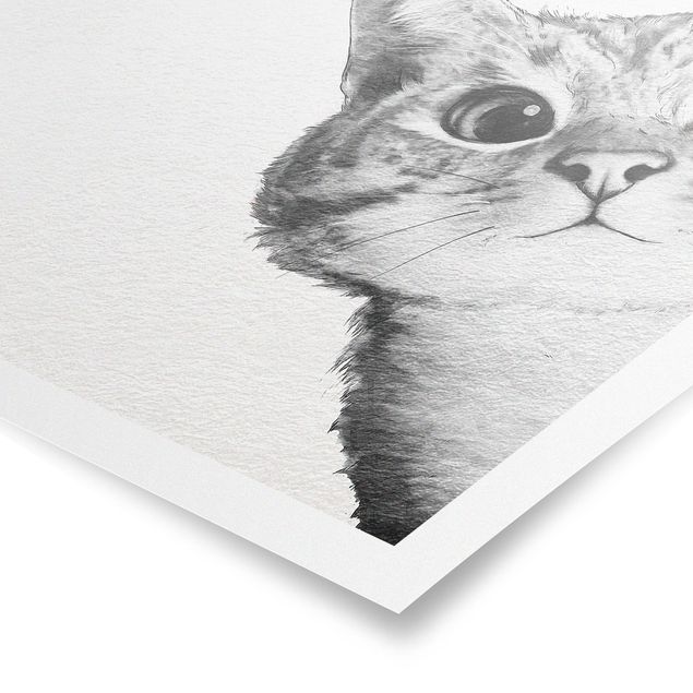 Plakater kunsttryk Illustration Cat Drawing Black And White