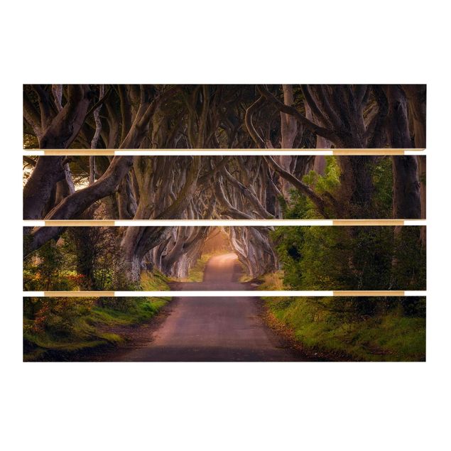 Prints på træ Tunnel Of Trees
