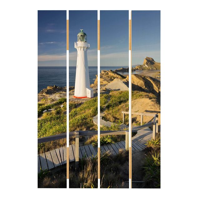 Billeder Rainer Mirau Castle Point Lighthouse New Zealand