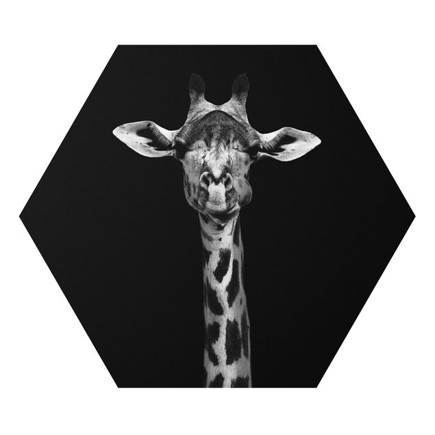 Billeder dyr Dark Giraffe Portrait