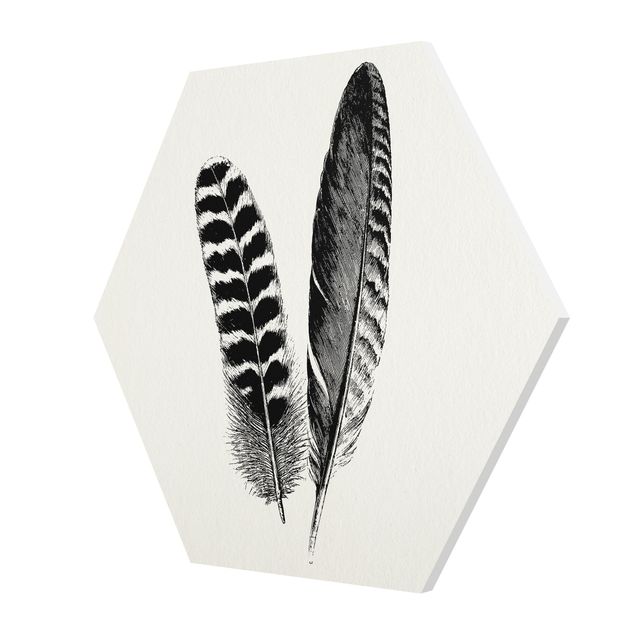 Sekskantede billeder Two Feathers - Drawing