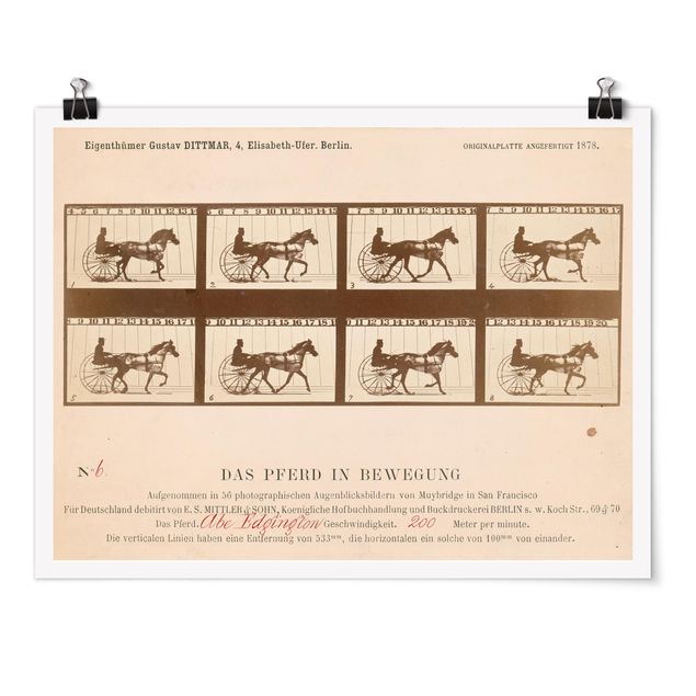 Plakater kunsttryk Eadweard Muybridge - The horse in Motion