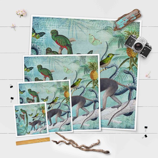 Billeder Colonial Style Collage - Monkeys And Birds Of Paradise
