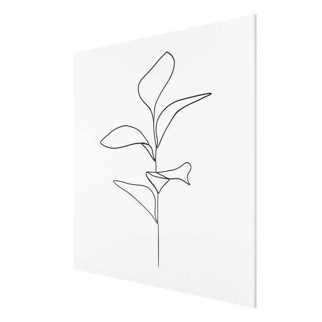 Billeder blomster Line Art Plant Leaves Black And White
