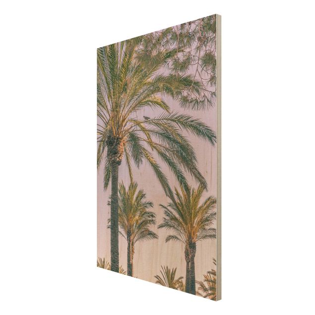 Prints på træ landskaber Palm Trees At Sunset