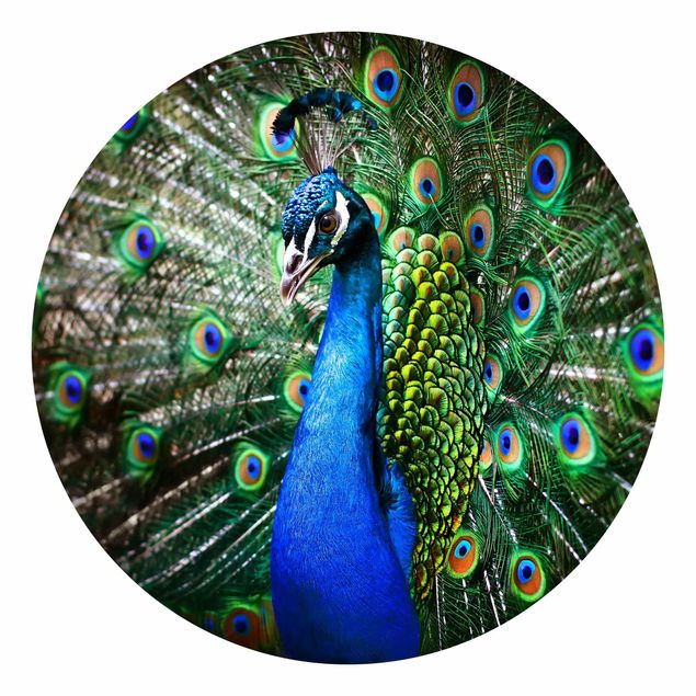 Tapet dyr Noble Peacock