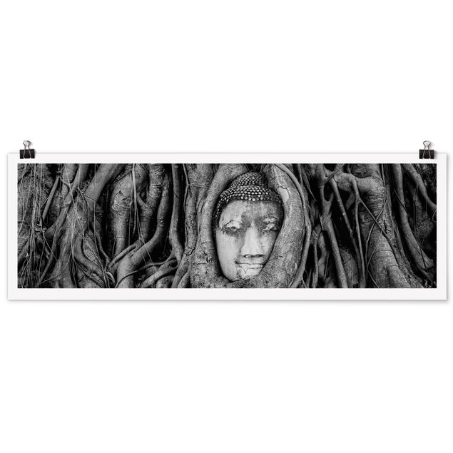 Billeder blomster Buddha In Ayutthaya Lined From Tree Roots In Black And White