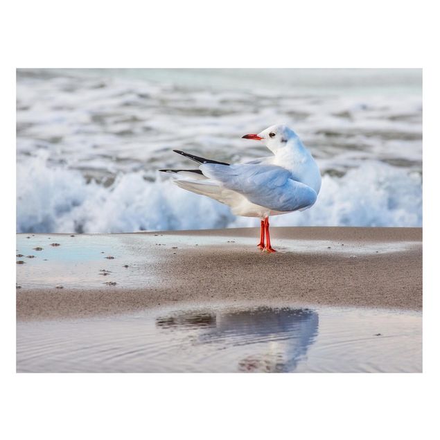 Billeder landskaber Seagull On The Beach In Front Of The Sea