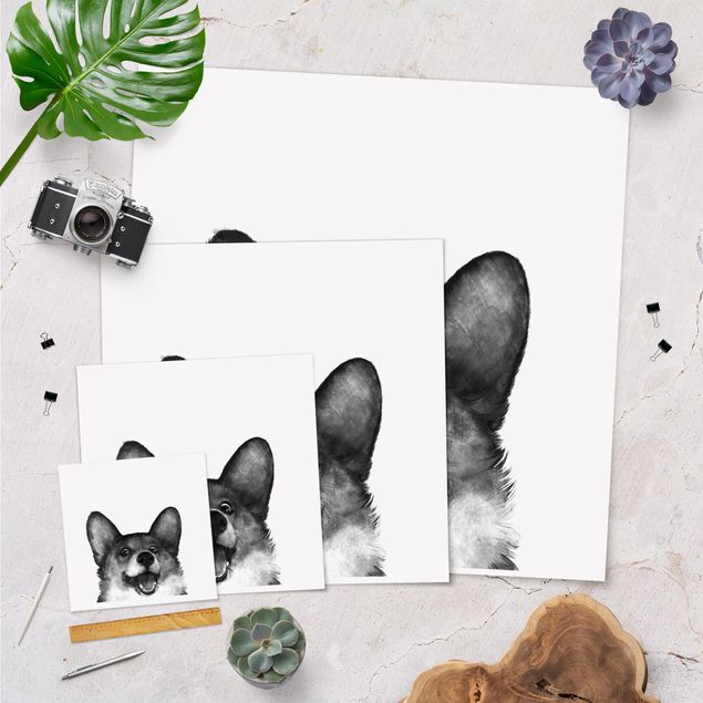 Billeder Illustration Dog Corgi Black And White Painting