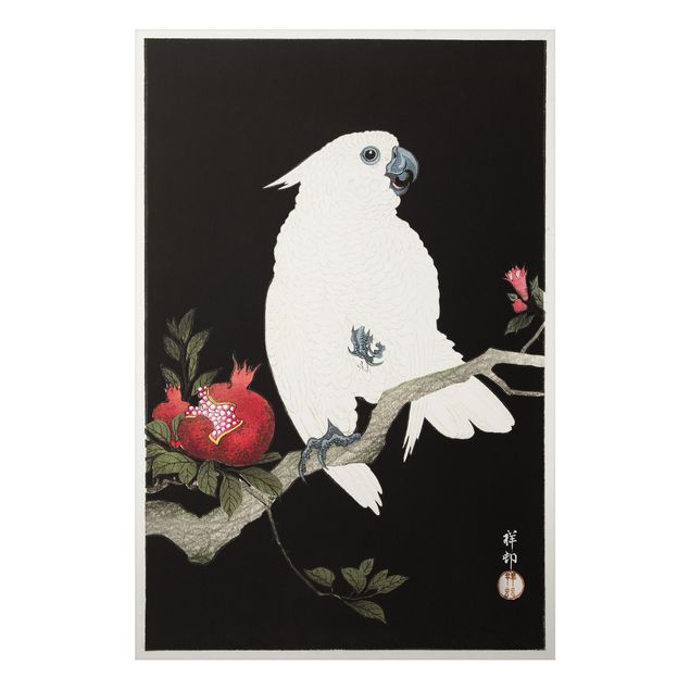 Billeder frugt Asian Vintage Illustration White Cockatoo