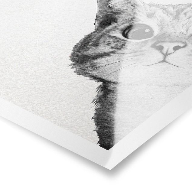 Plakater dyr Illustration Cat Drawing Black And White