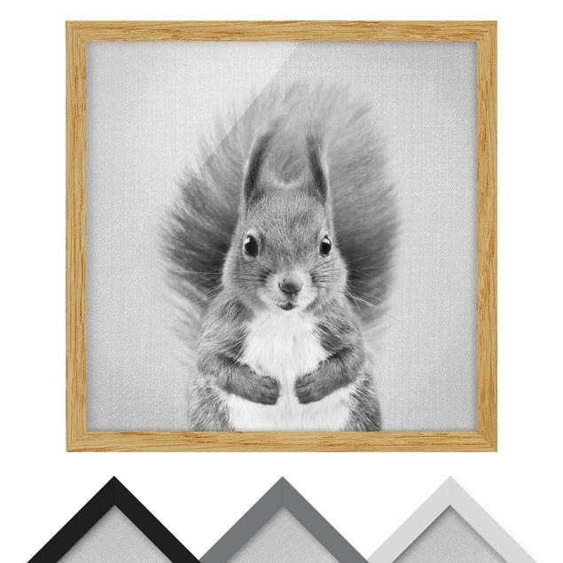 Billeder Gal Design Squirrel Elisabeth Black And White