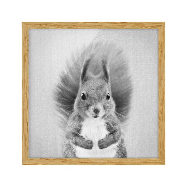 Billeder moderne Squirrel Elisabeth Black And White