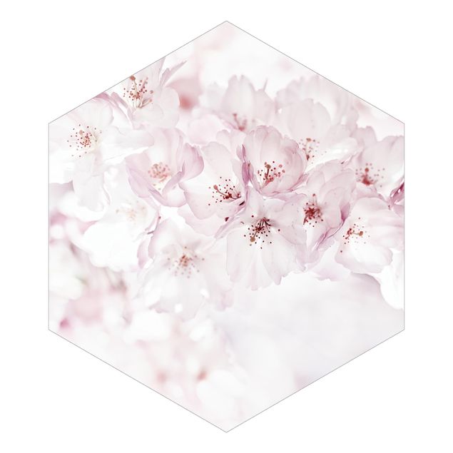 Billeder Monika Strigel A Touch Of Cherry Blossoms