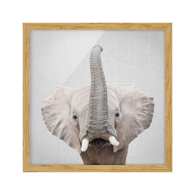 Indrammede plakater dyr Elephant Ewald