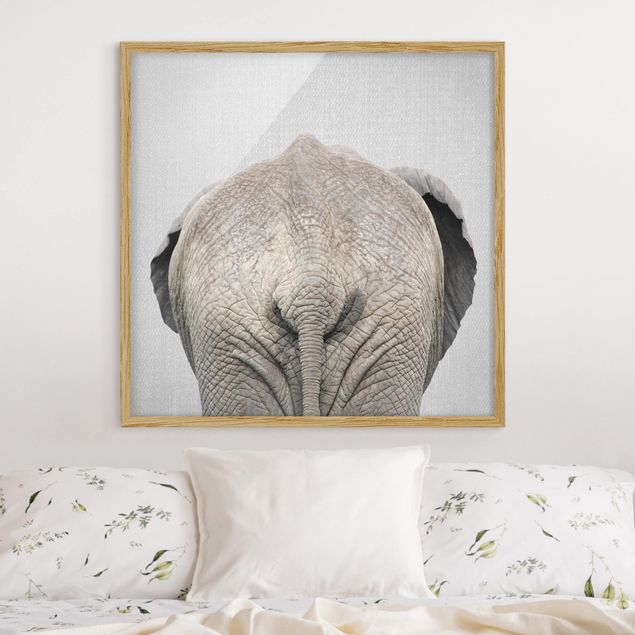 Billeder elefanter Elephant From Behind