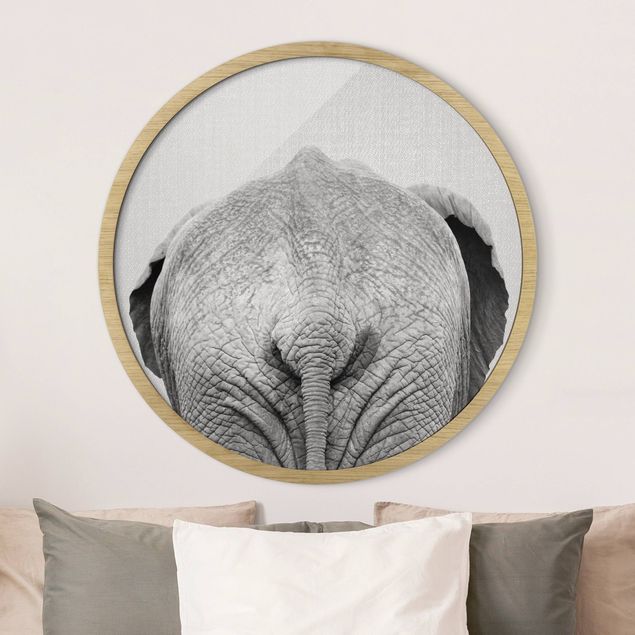 Billeder elefanter Elephant From Behind Black And White
