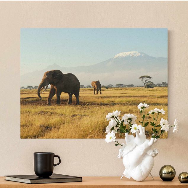 køkken dekorationer Elephants In Front Of Kilimanjaro In Kenya