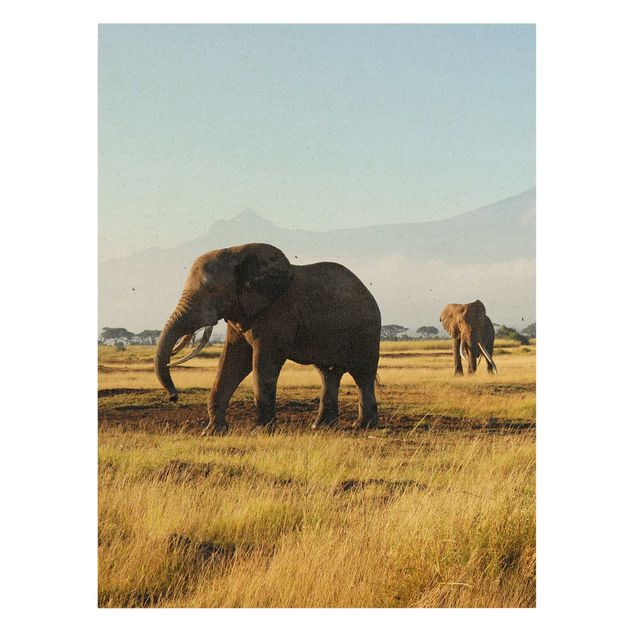Billeder på lærred bjerge Elephants In Front Of Kilimanjaro In Kenya