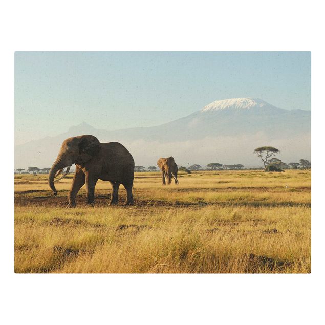Billeder på lærred bjerge Elephants In Front Of Kilimanjaro In Kenya