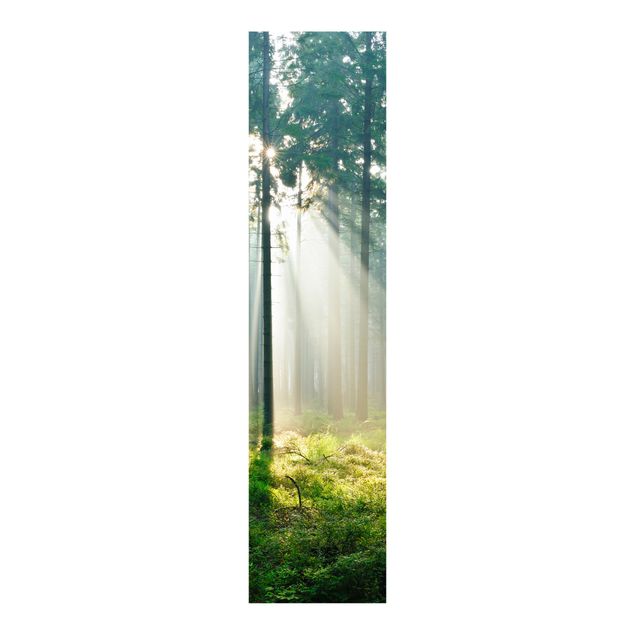 Panelgardiner landskaber Enlightened Forest