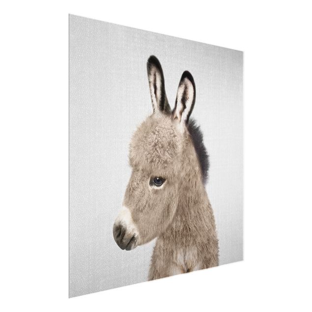 Billeder moderne Donkey Ernesto
