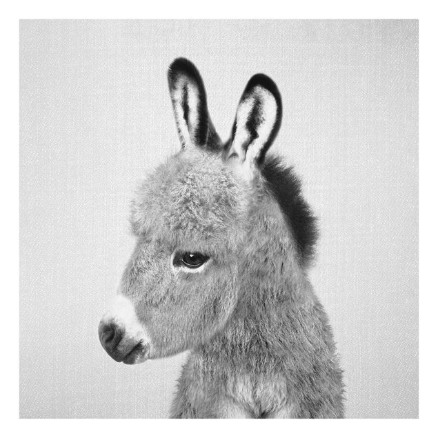 Billeder sort og hvid Donkey Ernesto Black And White