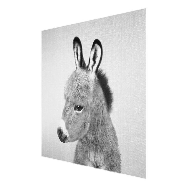 Billeder Gal Design Donkey Ernesto Black And White