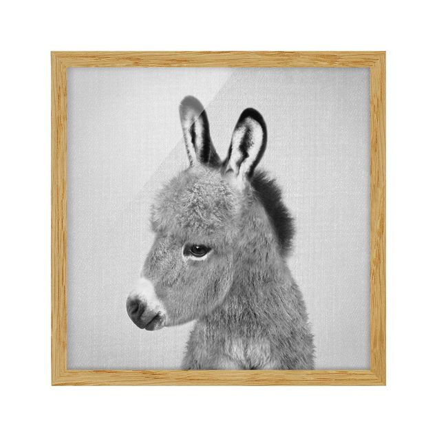 Billeder moderne Donkey Ernesto Black And White