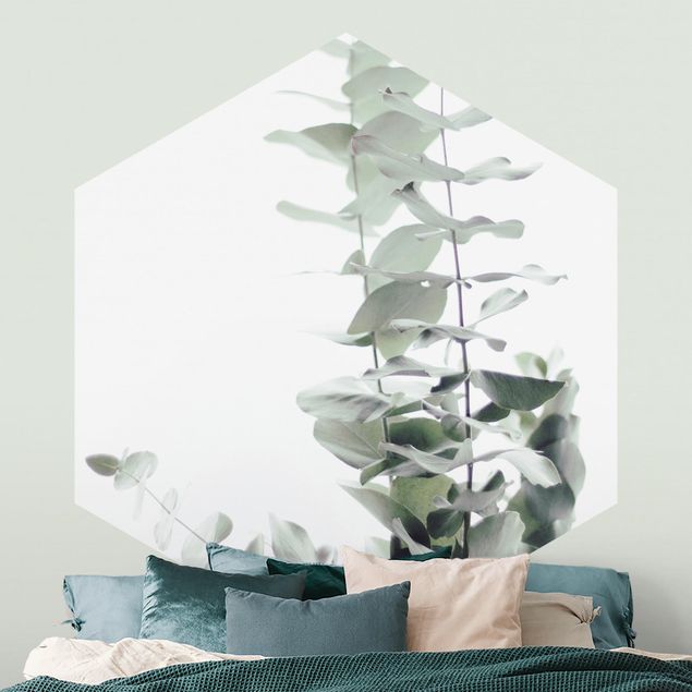 Tapet blomster Eucalyptus In White Light