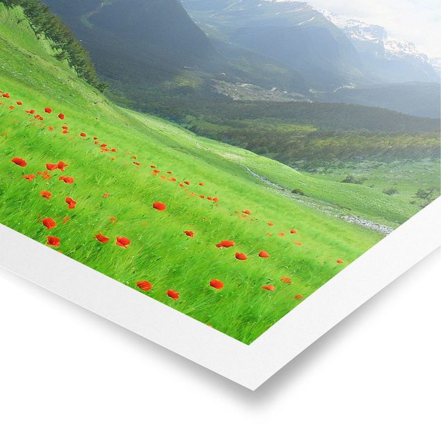 Billeder landskaber Alpine Meadow