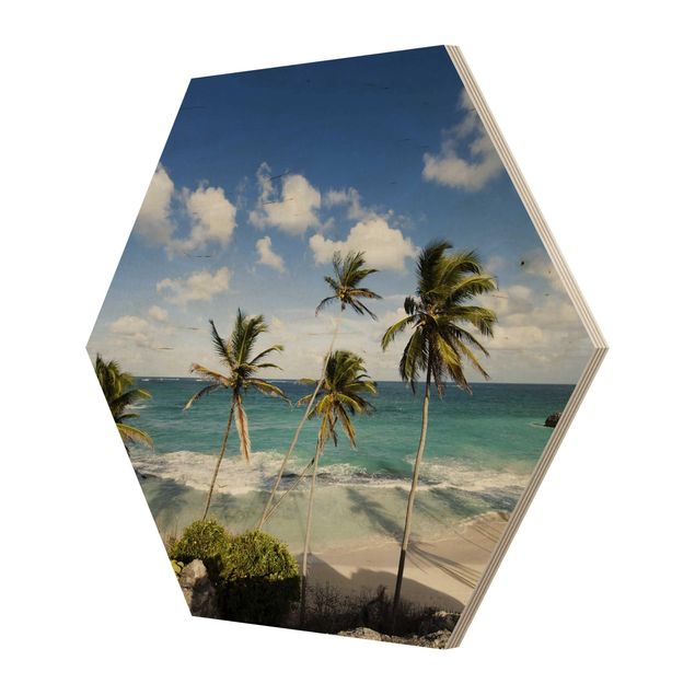 Sekskantede billeder Beach Of Barbados
