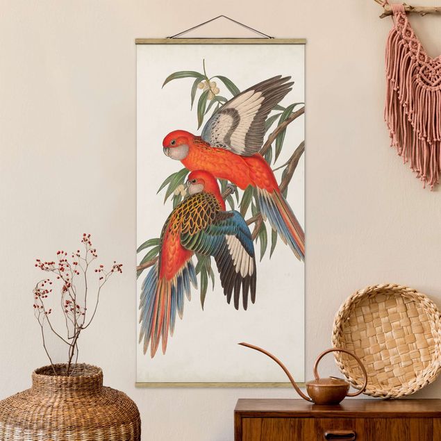 køkken dekorationer Tropical Parrot I