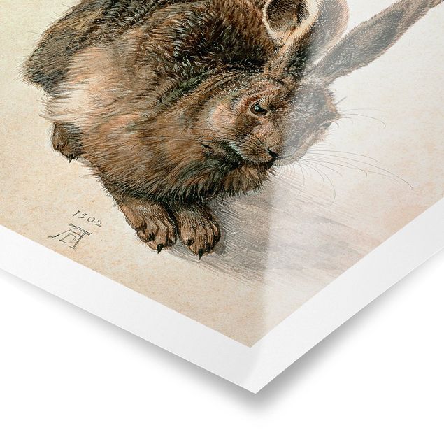 Plakater dyr Albrecht Dürer - Young Hare